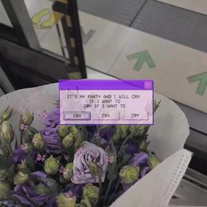 新婚之夜日逼视频
